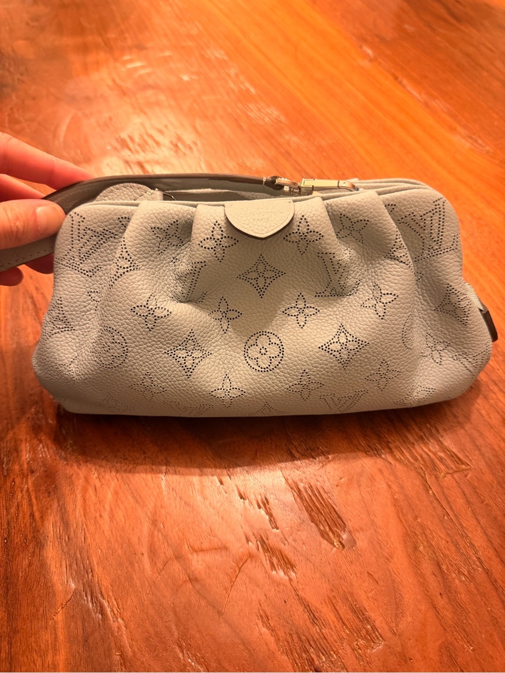 Louis Vuitton Perforated Monogram Scala bag in Lagoon